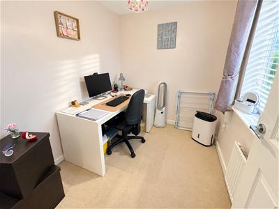 Picture 14